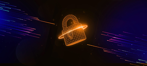 Hardened System Security